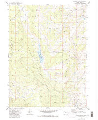 Tyler Mountain Colorado Historical topographic map, 1:24000 scale, 7.5 X 7.5 Minute, Year 1980