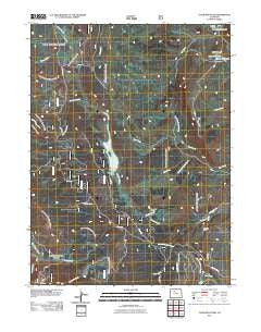 Tyler Mountain Colorado Historical topographic map, 1:24000 scale, 7.5 X 7.5 Minute, Year 2011