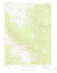Ute Peak Colorado Historical topographic map, 1:62500 scale, 15 X 15 Minute, Year 1933
