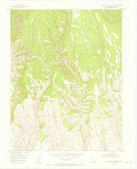 West Elk Peak SW Colorado Historical topographic map, 1:24000 scale, 7.5 X 7.5 Minute, Year 1954