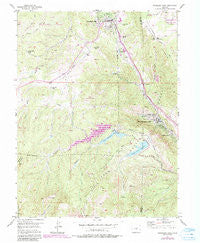 Woodland Park Colorado Historical topographic map, 1:24000 scale, 7.5 X 7.5 Minute, Year 1954