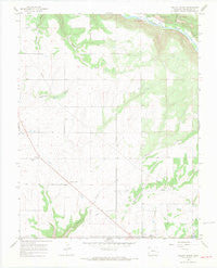 Yellow Jacket Colorado Historical topographic map, 1:24000 scale, 7.5 X 7.5 Minute, Year 1965