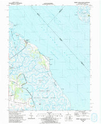 Bombay Hook Island Delaware Historical topographic map, 1:24000 scale, 7.5 X 7.5 Minute, Year 1993