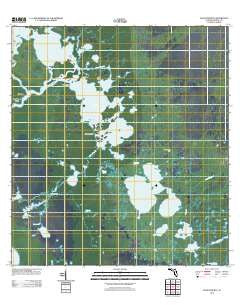 Alligator Bay Florida Historical topographic map, 1:24000 scale, 7.5 X 7.5 Minute, Year 2012