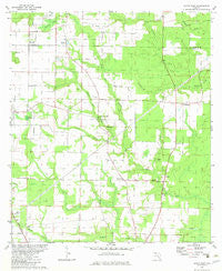 Altha East Florida Historical topographic map, 1:24000 scale, 7.5 X 7.5 Minute, Year 1982
