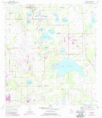 Alturas Florida Historical topographic map, 1:24000 scale, 7.5 X 7.5 Minute, Year 1955