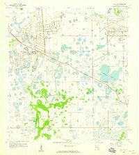 Alva SW Florida Historical topographic map, 1:24000 scale, 7.5 X 7.5 Minute, Year 1958