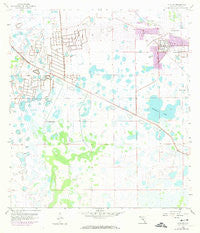 Alva SW Florida Historical topographic map, 1:24000 scale, 7.5 X 7.5 Minute, Year 1958