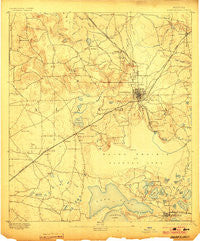Arredondo Florida Historical topographic map, 1:62500 scale, 15 X 15 Minute, Year 1894