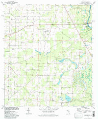 Bascom Florida Historical topographic map, 1:24000 scale, 7.5 X 7.5 Minute, Year 1994