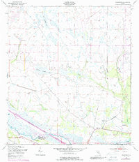 Basinger Florida Historical topographic map, 1:24000 scale, 7.5 X 7.5 Minute, Year 1953