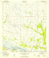 Basinger Florida Historical topographic map, 1:24000 scale, 7.5 X 7.5 Minute, Year 1953