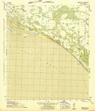 Beacon Hill Florida Historical topographic map, 1:31680 scale, 7.5 X 7.5 Minute, Year 1944