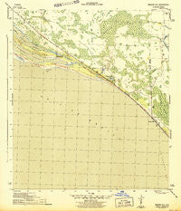 Beacon Hill Florida Historical topographic map, 1:31680 scale, 7.5 X 7.5 Minute, Year 1944
