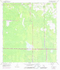 Belle Meade NE Florida Historical topographic map, 1:24000 scale, 7.5 X 7.5 Minute, Year 1958