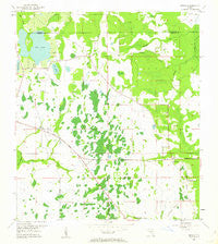Bithlo Florida Historical topographic map, 1:24000 scale, 7.5 X 7.5 Minute, Year 1953