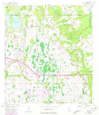 Bithlo Florida Historical topographic map, 1:24000 scale, 7.5 X 7.5 Minute, Year 1953