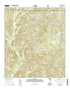 Blackman Florida Current topographic map, 1:24000 scale, 7.5 X 7.5 Minute, Year 2015