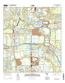 Bradley Junction Florida Current topographic map, 1:24000 scale, 7.5 X 7.5 Minute, Year 2015