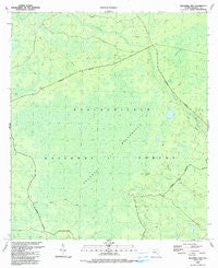 Bradwell Bay Florida Historical topographic map, 1:24000 scale, 7.5 X 7.5 Minute, Year 1990