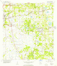 Brandon Florida Historical topographic map, 1:24000 scale, 7.5 X 7.5 Minute, Year 1956