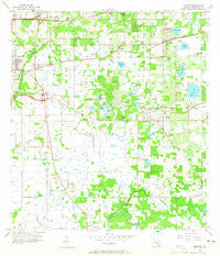 Brandon Florida Historical topographic map, 1:24000 scale, 7.5 X 7.5 Minute, Year 1956