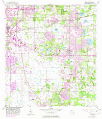 Brandon Florida Historical topographic map, 1:24000 scale, 7.5 X 7.5 Minute, Year 1956