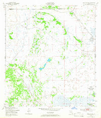 Brighton SW Florida Historical topographic map, 1:24000 scale, 7.5 X 7.5 Minute, Year 1953