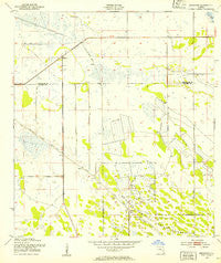 Brighton Florida Historical topographic map, 1:24000 scale, 7.5 X 7.5 Minute, Year 1953