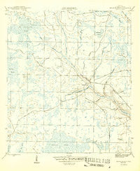 Broad Branch Florida Historical topographic map, 1:31680 scale, 7.5 X 7.5 Minute, Year 1945