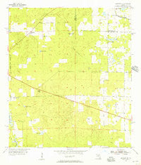 Bronson NE Florida Historical topographic map, 1:24000 scale, 7.5 X 7.5 Minute, Year 1955