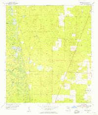 Bronson SE Florida Historical topographic map, 1:24000 scale, 7.5 X 7.5 Minute, Year 1955