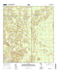 Clay Sink Florida Current topographic map, 1:24000 scale, 7.5 X 7.5 Minute, Year 2015