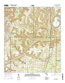 Compass Lake Florida Current topographic map, 1:24000 scale, 7.5 X 7.5 Minute, Year 2015