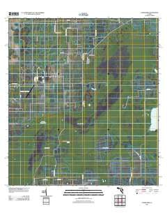Corkscrew Florida Historical topographic map, 1:24000 scale, 7.5 X 7.5 Minute, Year 2012