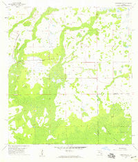 Corkscrew NW Florida Historical topographic map, 1:24000 scale, 7.5 X 7.5 Minute, Year 1958