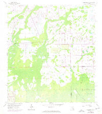 Corkscrew NW Florida Historical topographic map, 1:24000 scale, 7.5 X 7.5 Minute, Year 1958