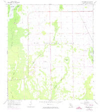 Corkscrew SE Florida Historical topographic map, 1:24000 scale, 7.5 X 7.5 Minute, Year 1958
