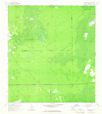 Corkscrew SW Florida Historical topographic map, 1:24000 scale, 7.5 X 7.5 Minute, Year 1958