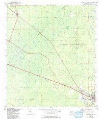 Cross City West Florida Historical topographic map, 1:24000 scale, 7.5 X 7.5 Minute, Year 1954