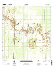 Deep Lake Florida Current topographic map, 1:24000 scale, 7.5 X 7.5 Minute, Year 2015