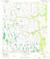 Deer Park NW Florida Historical topographic map, 1:24000 scale, 7.5 X 7.5 Minute, Year 1953