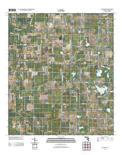 Dellwood Florida Historical topographic map, 1:24000 scale, 7.5 X 7.5 Minute, Year 2012
