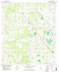 Dellwood Florida Historical topographic map, 1:24000 scale, 7.5 X 7.5 Minute, Year 1994
