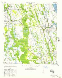 Dinner Island Florida Historical topographic map, 1:62500 scale, 15 X 15 Minute, Year 1943