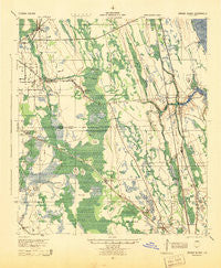 Dinner Island Florida Historical topographic map, 1:62500 scale, 15 X 15 Minute, Year 1944