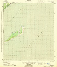 Dog Island Florida Historical topographic map, 1:31680 scale, 7.5 X 7.5 Minute, Year 1943