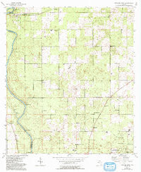 Dowling Park Florida Historical topographic map, 1:24000 scale, 7.5 X 7.5 Minute, Year 1954