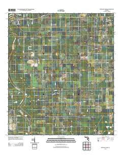 Dowling Park Florida Historical topographic map, 1:24000 scale, 7.5 X 7.5 Minute, Year 2012