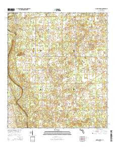 Dowling Park Florida Current topographic map, 1:24000 scale, 7.5 X 7.5 Minute, Year 2015